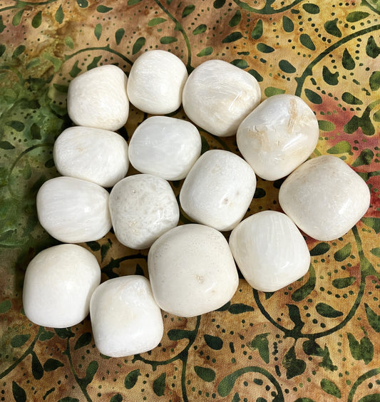 Scolectite Tumbled Stones  (#85)