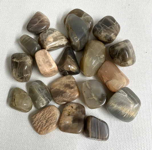 Tumbled Black Moonstone (#97)