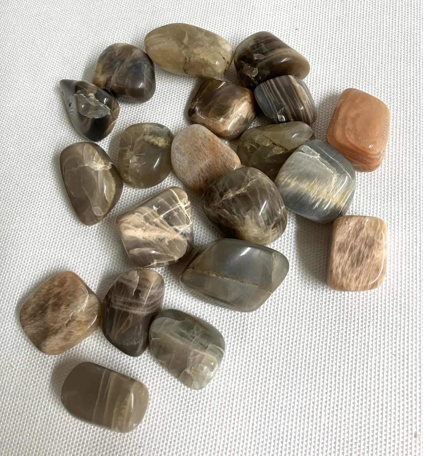 Tumbled Black Moonstone (#97)