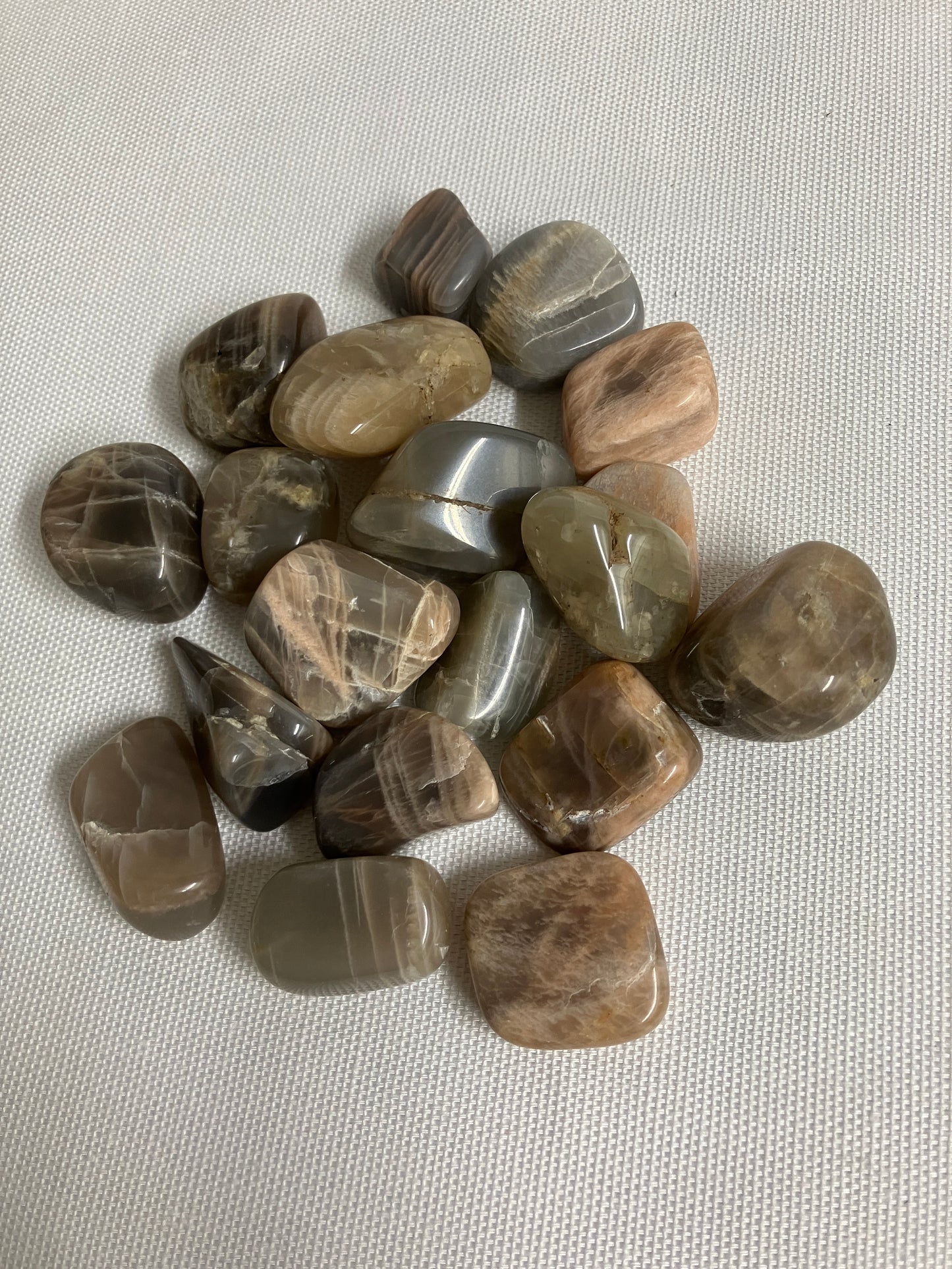 Tumbled Black Moonstone (#97)