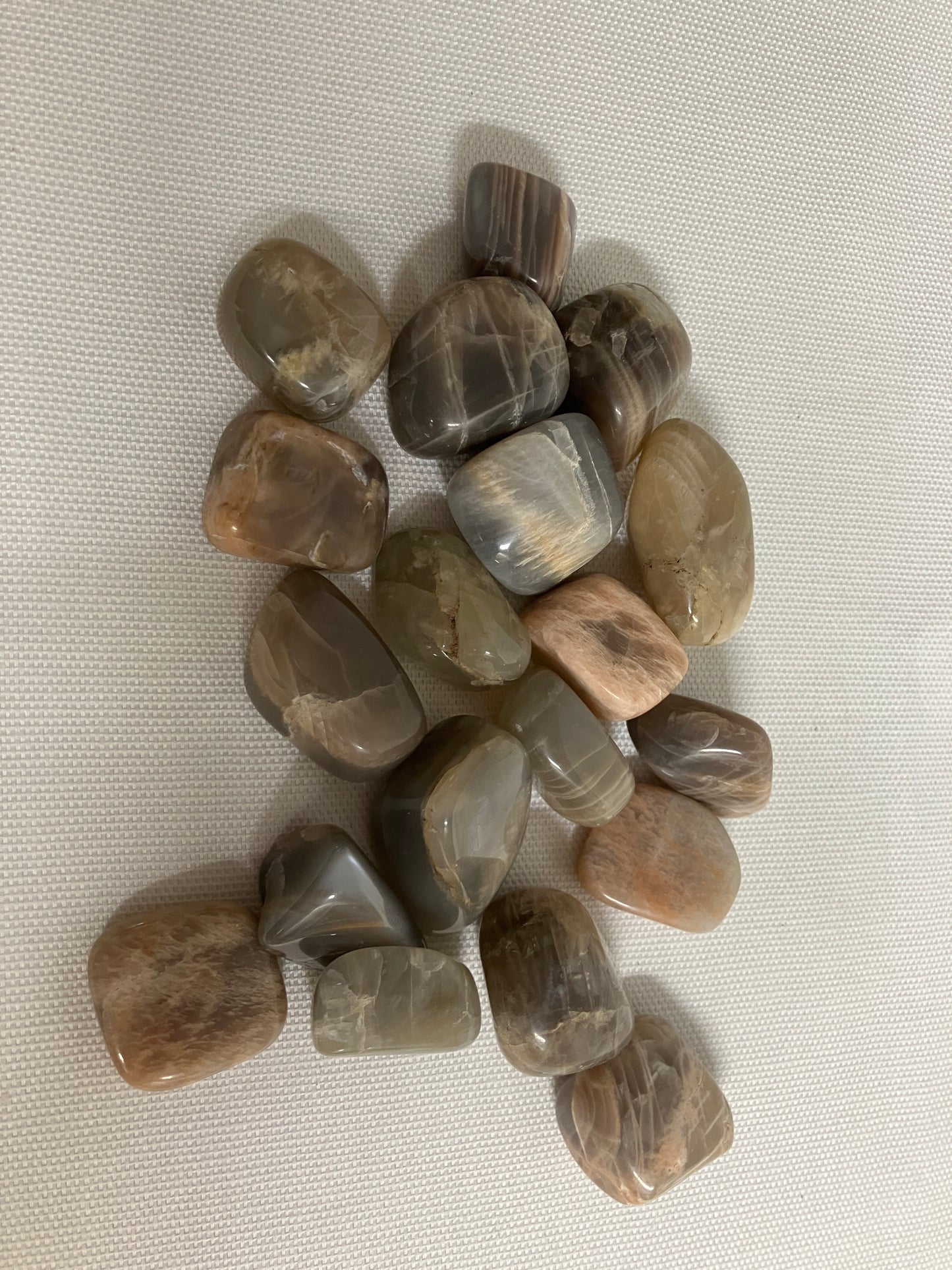 Tumbled Black Moonstone (#97)