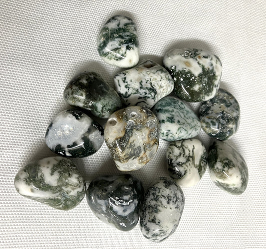 Tree Agate Tumbled Stone (#98)