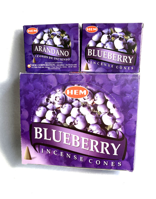 HEM Blueberry Cone Incense